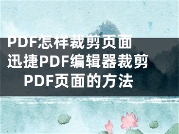 PDF怎樣裁剪頁面 迅捷PDF編輯器裁剪PDF頁面的方法