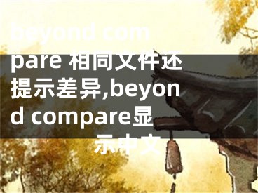 beyond compare 相同文件還提示差異,beyond compare顯示中文