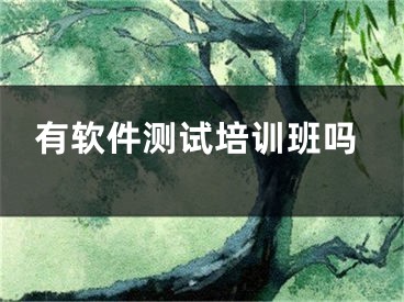 有軟件測試培訓(xùn)班嗎