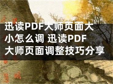 迅讀PDF大師頁面大小怎么調(diào) 迅讀PDF大師頁面調(diào)整技巧分享