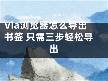 Via瀏覽器怎么導(dǎo)出書(shū)簽 只需三步輕松導(dǎo)出