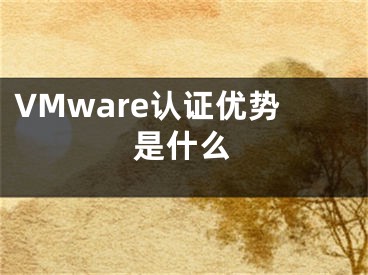 VMware認(rèn)證優(yōu)勢(shì)是什么