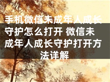 手機微信未成年人成長守護(hù)怎么打開 微信未成年人成長守護(hù)打開方法詳解