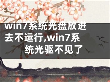 win7系統(tǒng)光盤放進(jìn)去不運(yùn)行,win7系統(tǒng)光驅(qū)不見了