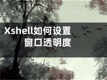 Xshell如何設(shè)置窗口透明度 