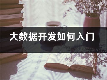 大數(shù)據(jù)開發(fā)如何入門