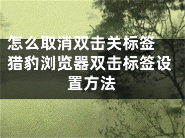 怎么取消雙擊關(guān)標(biāo)簽 獵豹瀏覽器雙擊標(biāo)簽設(shè)置方法