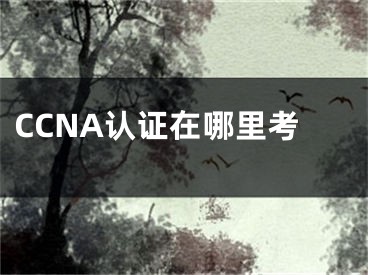 CCNA認(rèn)證在哪里考