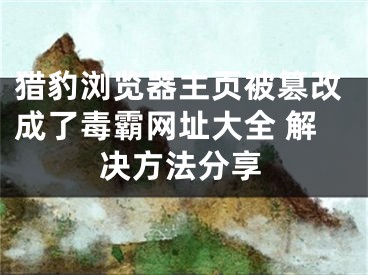 獵豹瀏覽器主頁(yè)被篡改成了毒霸網(wǎng)址大全 解決方法分享