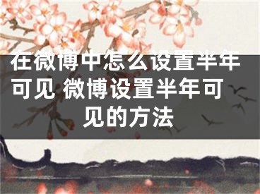 在微博中怎么設(shè)置半年可見 微博設(shè)置半年可見的方法