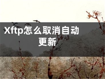 Xftp怎么取消自動更新 