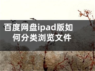 百度網(wǎng)盤ipad版如何分類瀏覽文件 