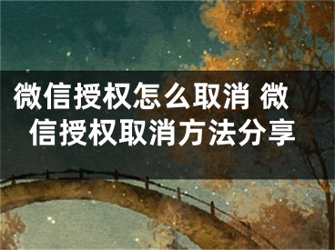 微信授權(quán)怎么取消 微信授權(quán)取消方法分享