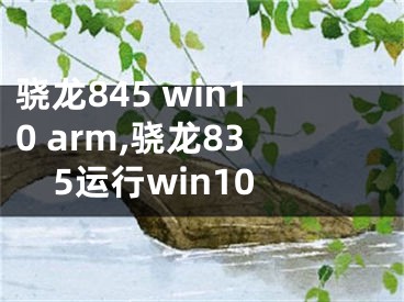 驍龍845 win10 arm,驍龍835運行win10