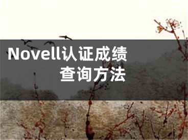 Novell認(rèn)證成績(jī)查詢方法