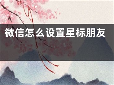 微信怎么設(shè)置星標(biāo)朋友 