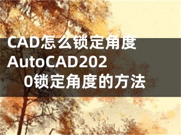 CAD怎么鎖定角度 AutoCAD2020鎖定角度的方法