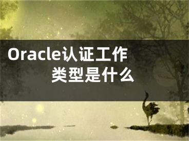 Oracle認(rèn)證工作類型是什么