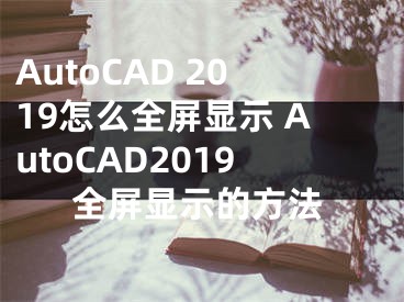 AutoCAD 2019怎么全屏顯示 AutoCAD2019全屏顯示的方法