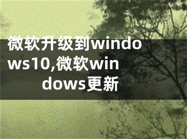 微軟升級到windows10,微軟windows更新