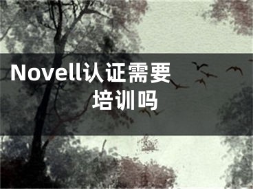 Novell認(rèn)證需要培訓(xùn)嗎