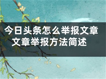 今日頭條怎么舉報(bào)文章 文章舉報(bào)方法簡(jiǎn)述