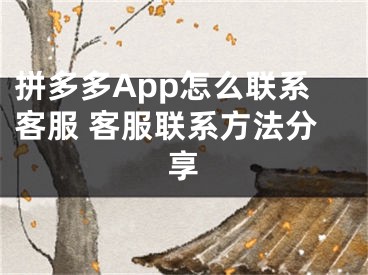 拼多多App怎么聯(lián)系客服 客服聯(lián)系方法分享