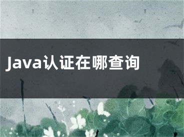 Java認(rèn)證在哪查詢