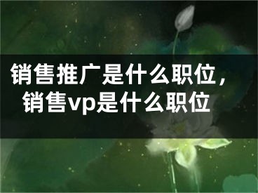 銷售推廣是什么職位，銷售vp是什么職位