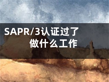 SAPR/3認證過了做什么工作