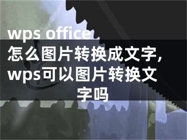 wps office怎么圖片轉(zhuǎn)換成文字,wps可以圖片轉(zhuǎn)換文字嗎