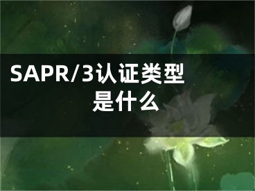 SAPR/3認(rèn)證類(lèi)型是什么