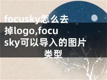 focusky怎么去掉logo,focusky可以導(dǎo)入的圖片類(lèi)型