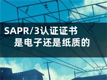 SAPR/3認(rèn)證證書是電子還是紙質(zhì)的