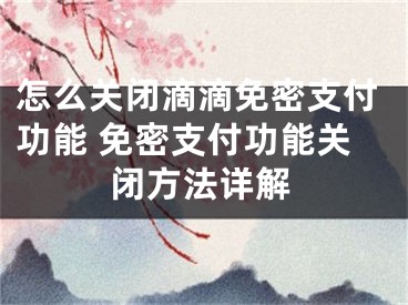 怎么關(guān)閉滴滴免密支付功能 免密支付功能關(guān)閉方法詳解