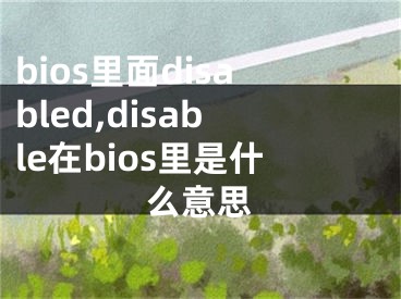 bios里面disabled,disable在bios里是什么意思