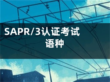 SAPR/3認證考試語種