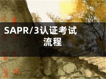 SAPR/3認證考試流程