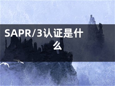 SAPR/3認(rèn)證是什么