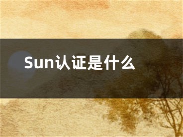 Sun認(rèn)證是什么