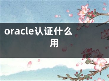 oracle認(rèn)證什么用