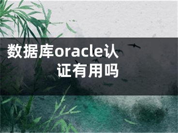 數(shù)據(jù)庫oracle認(rèn)證有用嗎