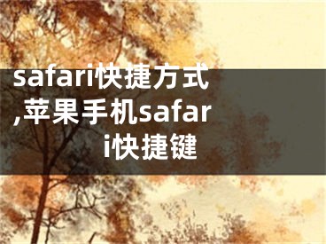 safari快捷方式,蘋果手機(jī)safari快捷鍵