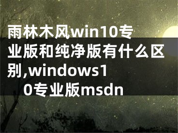 雨林木風(fēng)win10專業(yè)版和純凈版有什么區(qū)別,windows10專業(yè)版msdn