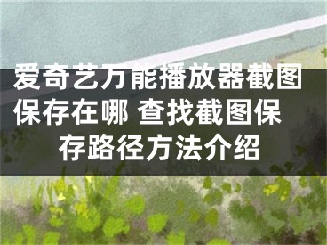 愛奇藝萬能播放器截圖保存在哪 查找截圖保存路徑方法介紹