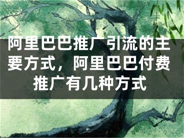 阿里巴巴推廣引流的主要方式，阿里巴巴付費(fèi)推廣有幾種方式