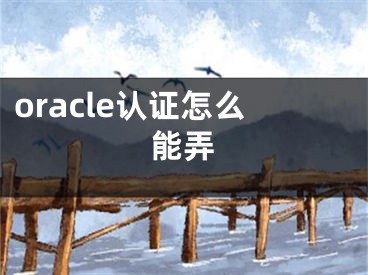 oracle認(rèn)證怎么能弄