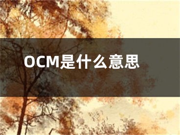 OCM是什么意思