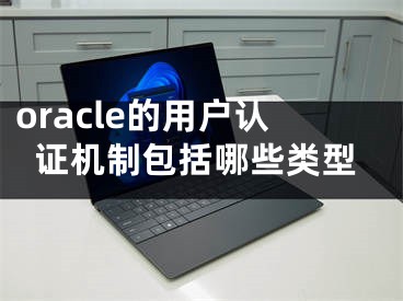 oracle的用戶認(rèn)證機(jī)制包括哪些類型