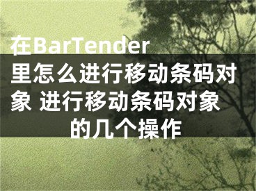 在BarTender里怎么進(jìn)行移動(dòng)條碼對(duì)象 進(jìn)行移動(dòng)條碼對(duì)象的幾個(gè)操作